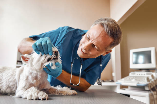 Best Same-Day Emergency Dentist in Henrietta, TX